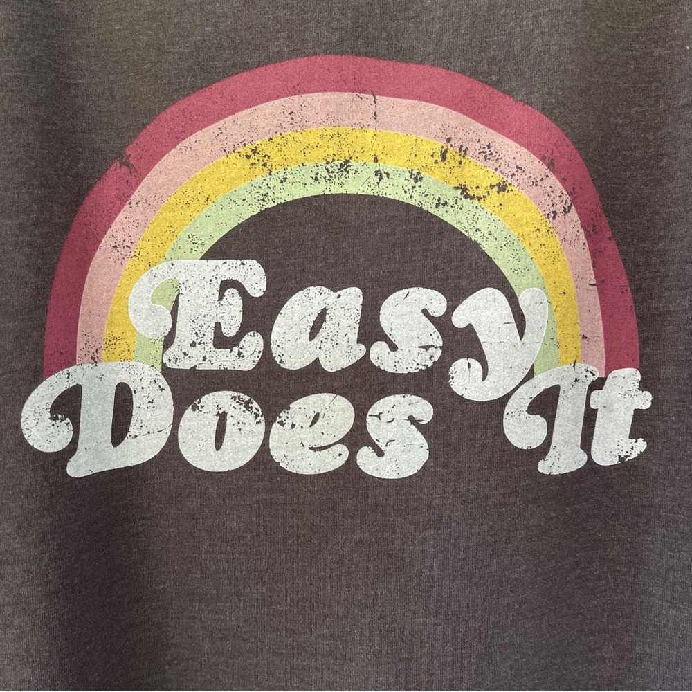 Wildfox Easy Does It Rainbow Gray Pullover Sweats… - image 4